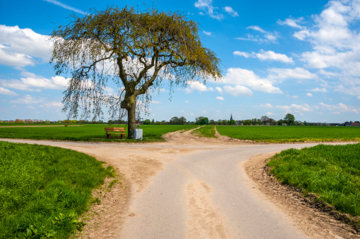 Cross way with tree and meadows