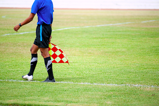 football referee in softlight green grass