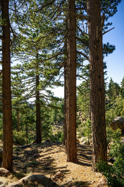istock Santa Rosa Mountains, California 1780516163
