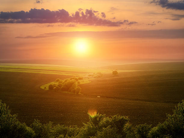 istock Beautiful field landscape on the sunset 178051714