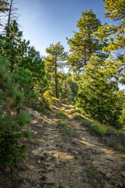 istock Santa Rosa Mountains, California 1780520000