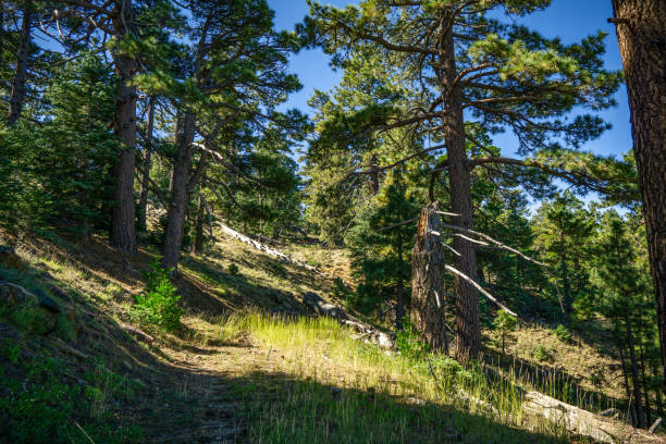 istock Santa Rosa Mountains, California 1780521078