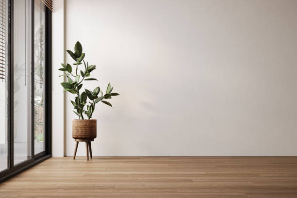 istock Modern white minimalist interior blank wall, plant 1780532044