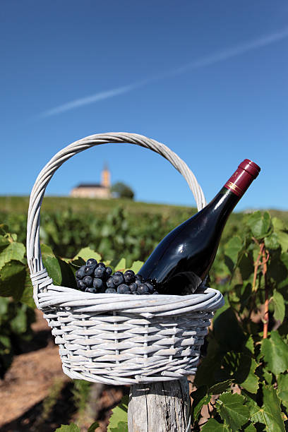 istock bottle of wine and grappes 178053288