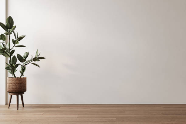 istock Modern white minimalist interior blank wall, plant 1780536028