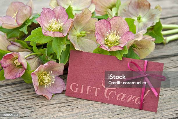 Pink Flowers Stock Photo - Download Image Now - Bouquet, Brown, Flower