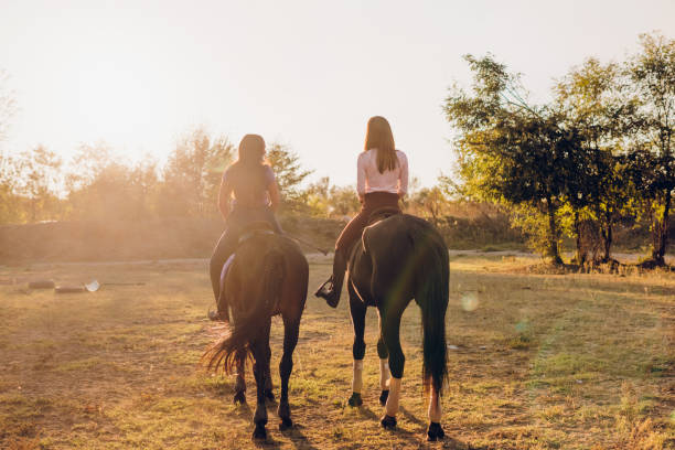 istock Young women riding horses and talking 1780544504