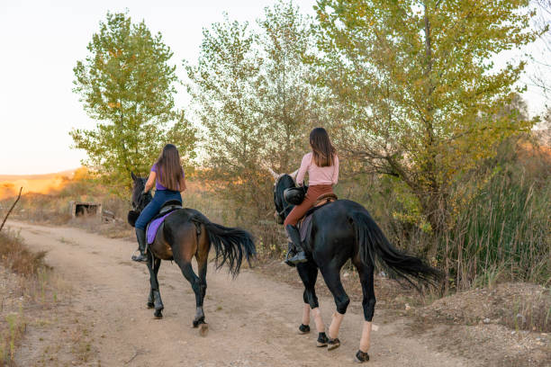 istock Young women riding horses and talking 1780544771