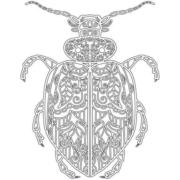 Vector illustration of Insect 22, hand drawn, beetle isolated on white background.