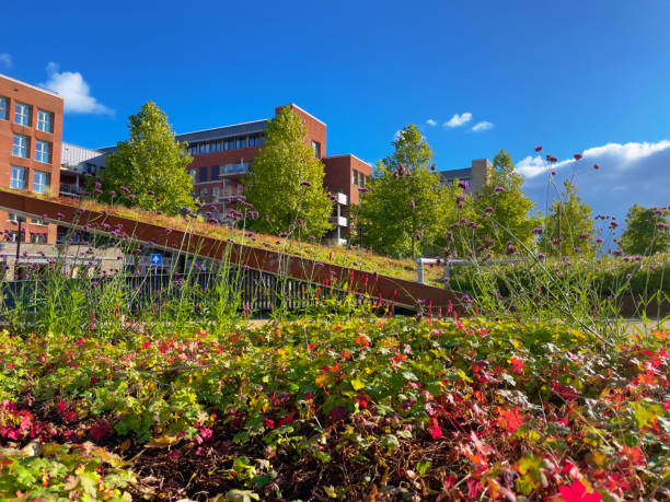istock Green rooftop garden with a slope 1780548007