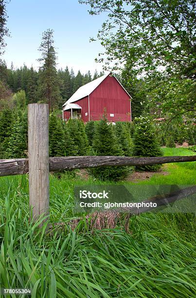 Paisagem Rural - Fotografias de stock e mais imagens de Agricultura - Agricultura, Ajardinado, Ao Ar Livre