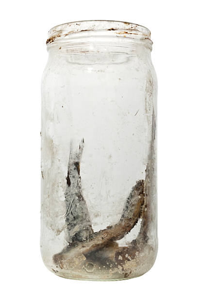 istock Salty Anchovies 178057695