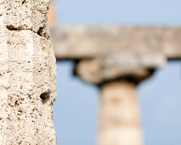 Temple Detail of Paestum Temple temple of neptune doric campania italy stock pictures, royalty-free photos & images