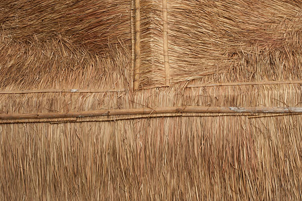 istock Roof leaves. 178058554