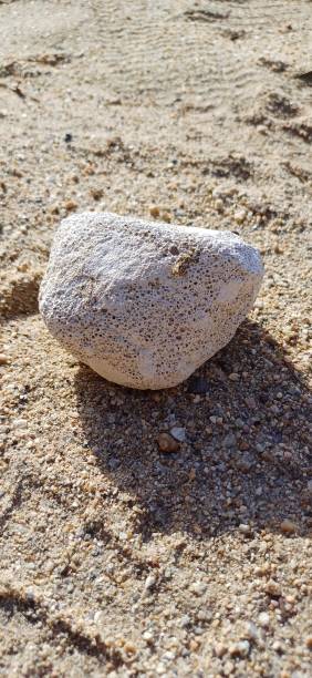 istock Pumice stone, sea stone 1780590086