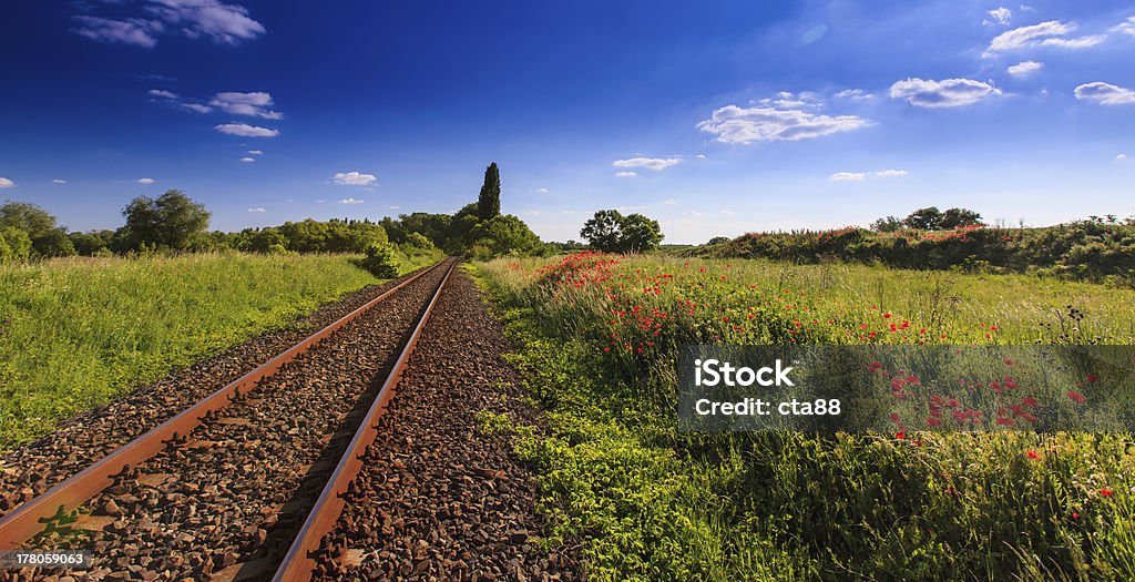 Scenic railroad en zone rurale - Photo de Arbre libre de droits