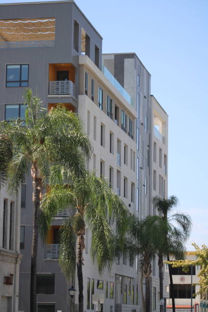 istock Palm Trees in the City 1780604736