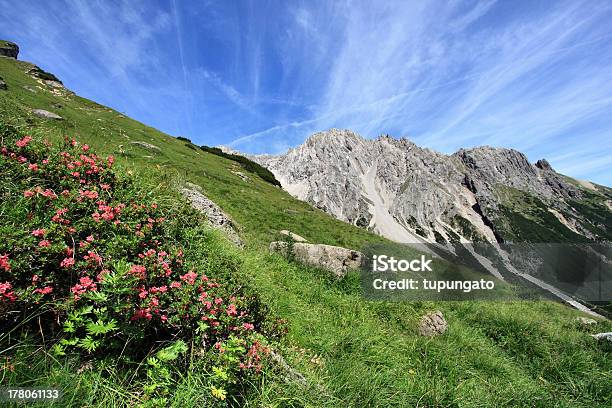 Alpine Meadow Foto de stock y más banco de imágenes de Aire libre - Aire libre, Alpes Europeos, Austria