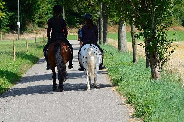 cavalli - bridle path foto e immagini stock