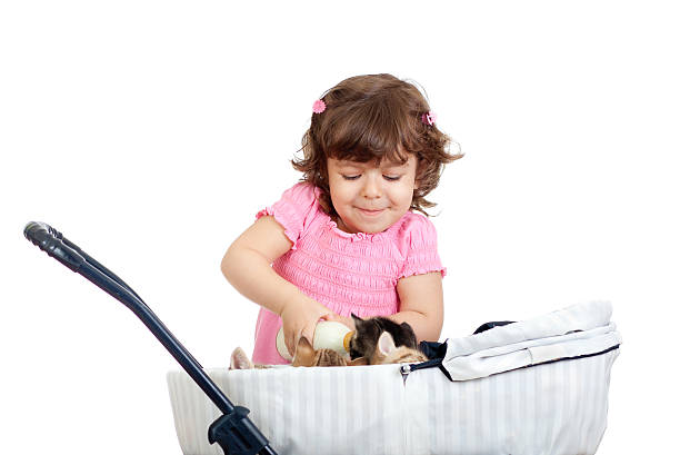 istock child girl playing and feeding kittens 178061707