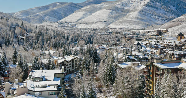 istock Snowy Trees and Rooftops in Vail, CO - Aerial 1780619531