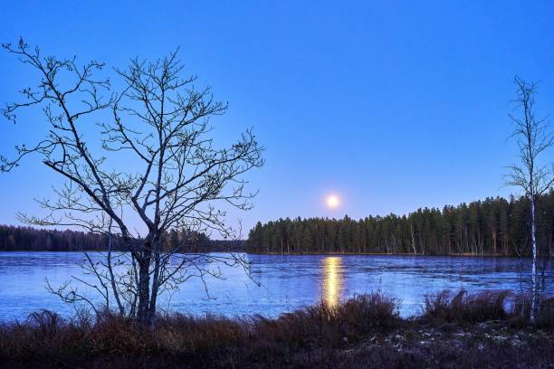 istock a moon setting over water with a barren field in the foreground 1780628826