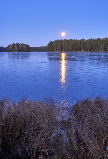 istock a full moon rising over the lake surrounded by tall grass 1780628886