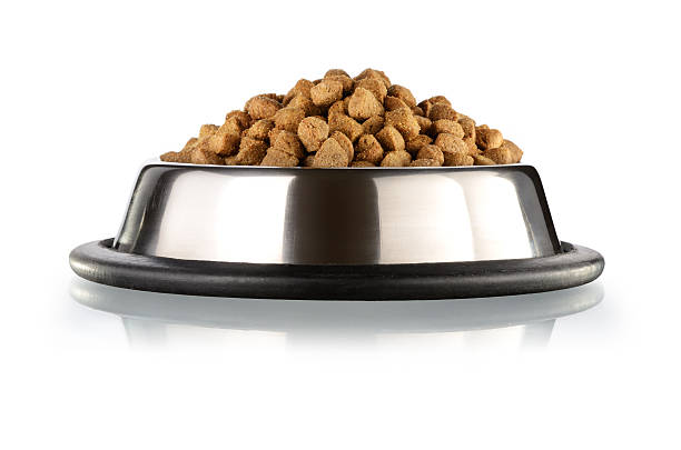 istock Cats and dogs food 178062964
