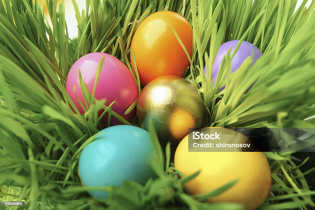 Symbols of eternal life Painted Easter eggs in green grass April Stock Photo