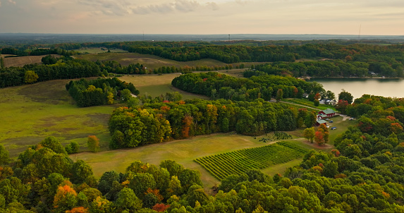 Aerial still of farmland and a lake near Shelby, a village in Oceana County in Michigan, on a Fall morning.