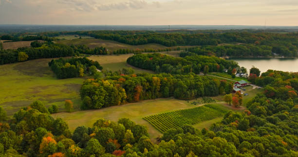 Farmland and Lake near Shelby, Michigan on Fall Morning - Aerial Aerial still of farmland and a lake near Shelby, a village in Oceana County in Michigan, on a Fall morning. michigan farmland stock pictures, royalty-free photos & images
