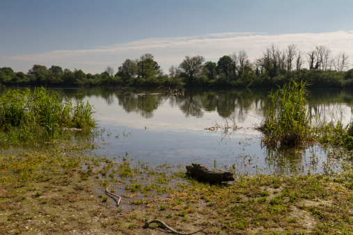 River landscape in spring season in Italy (HDR Image)