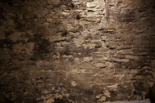 Stone stucco wall with mold in the cellar
