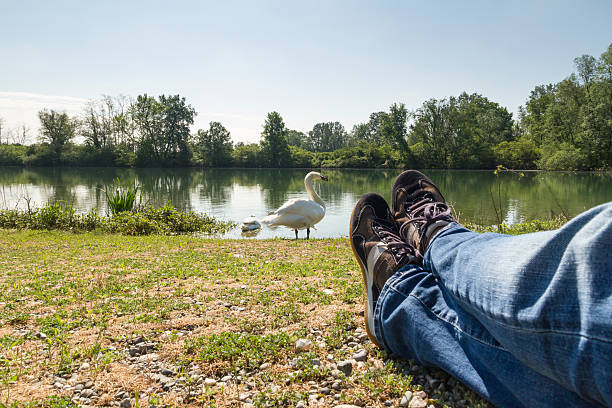 homem deitado na grama assistir swan - river adda - fotografias e filmes do acervo