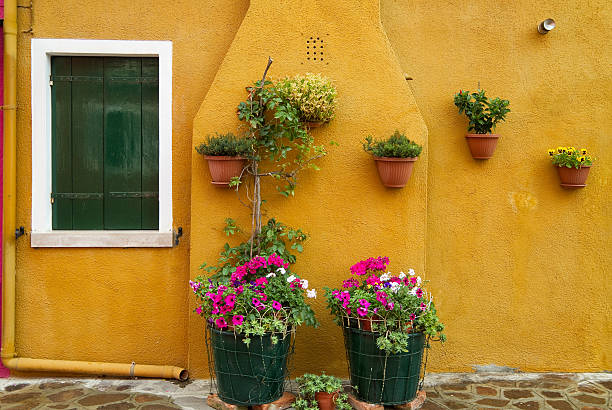 istock Flower decorated yellow wall. 178067138