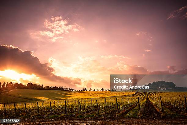 Photo libre de droit de Chianti Vineyard banque d'images et plus d'images libres de droit de Agriculture - Agriculture, Automne, Ciel menaçant