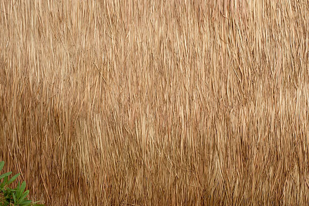 istock Roof leaves. 178067429