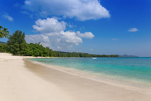istock Sandy beach on Mahe island, Seychelles 178067527