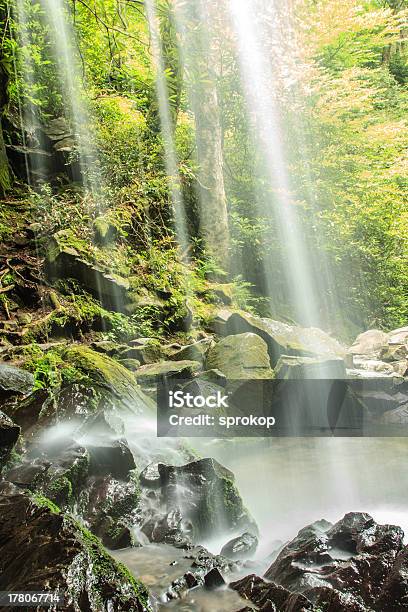 Grotto Falls Great Smoky Mountain National Park Stock Photo - Download Image Now - Appalachia, Appalachian Mountains, Beauty In Nature