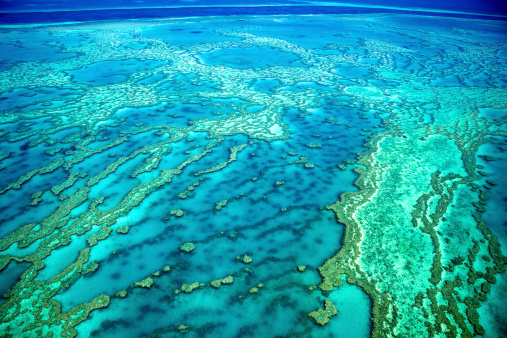 The Great Barrier Reef in Australia is the largest coral reef eco system in the world. This aerial photo was taken over Hardy Reef, in the Whitsundays Australia.