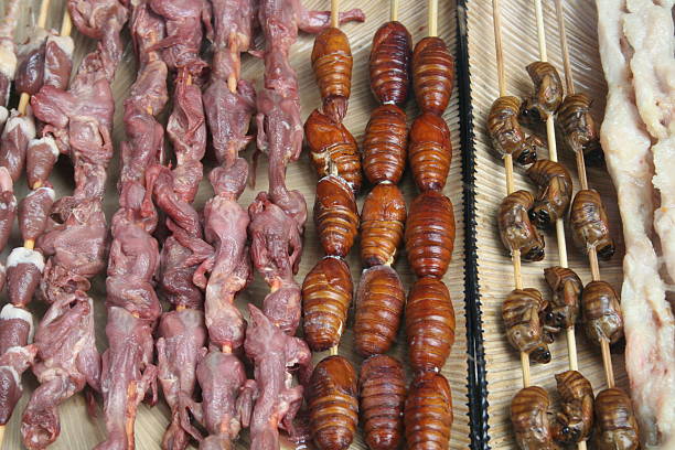 istock Raw Chinese Food - Birds and Caterpillars, Cocoons 178068231