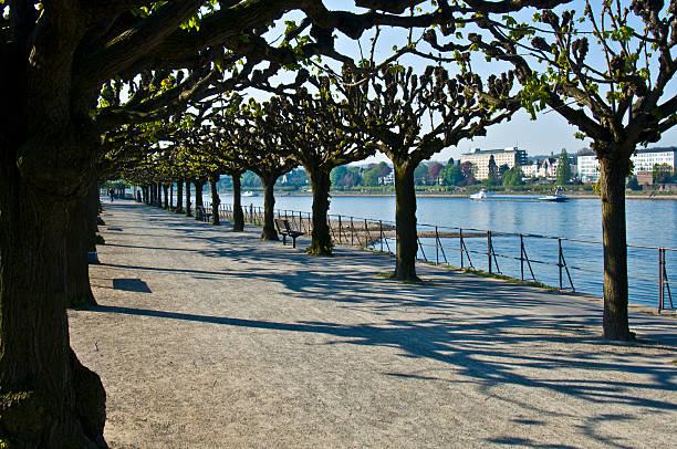 view of the rhine promenade in Bonn on a sunny day