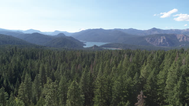 Aerial of Rimrock Lake with far view of Mount Rainier in background in Washington in summer