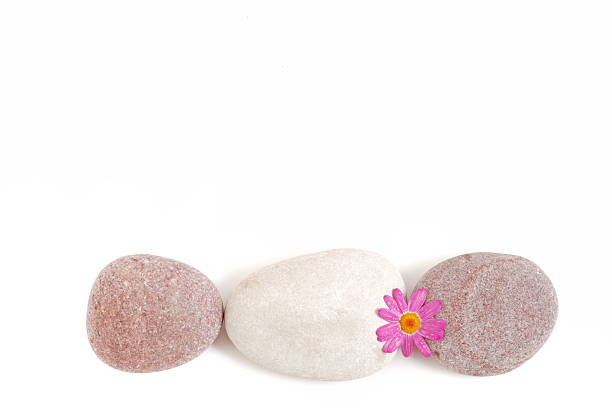 istock Pink daisy flower and stones 178069397