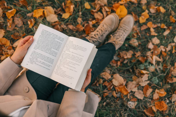 istock Open book in hands in nature 1780694638