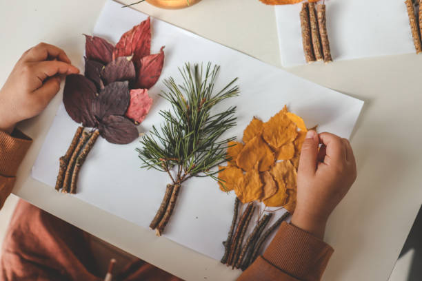 istock Children's creativity, child's study of natural materials, application top view 1780695748