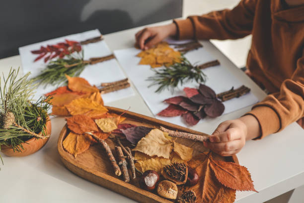 istock Children's creativity, child's study of natural materials, application top view 1780695751