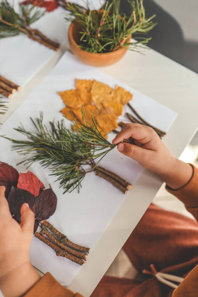 istock Children's creativity, child's study of natural materials, application top view 1780695753
