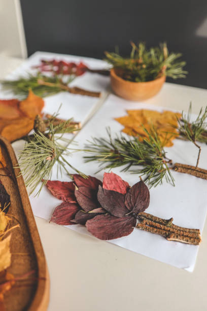 istock Children's creative activities, autumn idea 1780695755