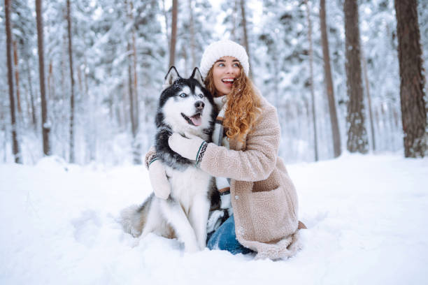 istock A cheerful husky dog walks with its owner in a snowy forest. 1780695763